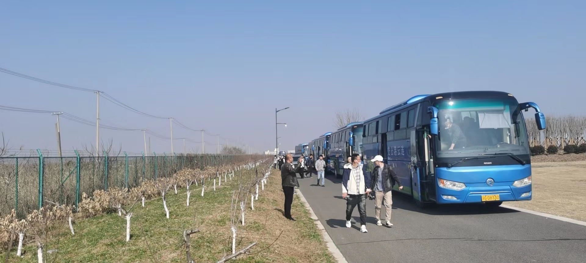 經(jīng)營(yíng)發(fā)展事業(yè)部圓滿(mǎn)完成徐圩管委會(huì)義務(wù)植樹(shù)定制公交運(yùn)輸保障工作