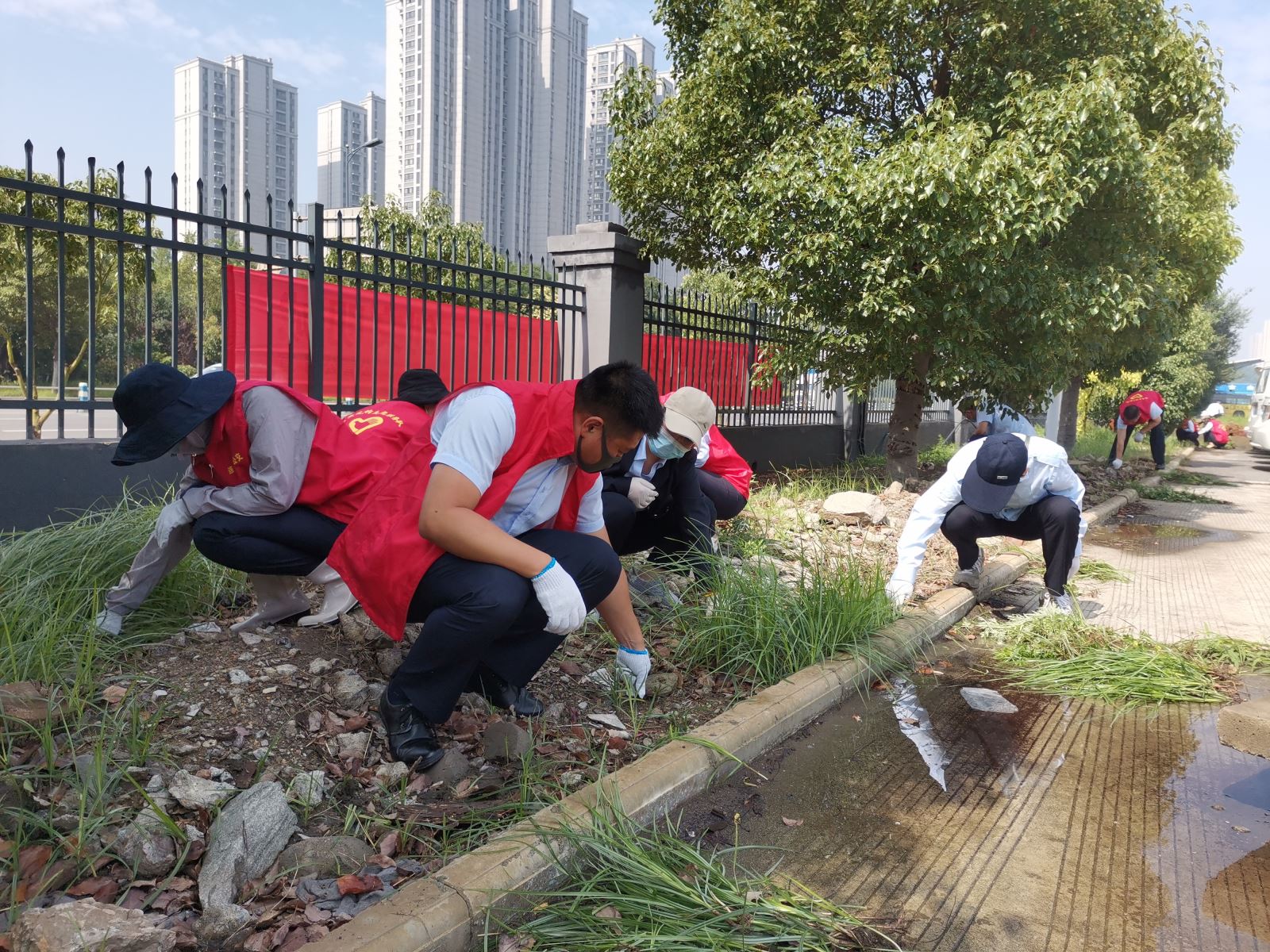 公交集團公交事業(yè)二部組織開展拔草義務(wù)勞動 助力創(chuàng)文